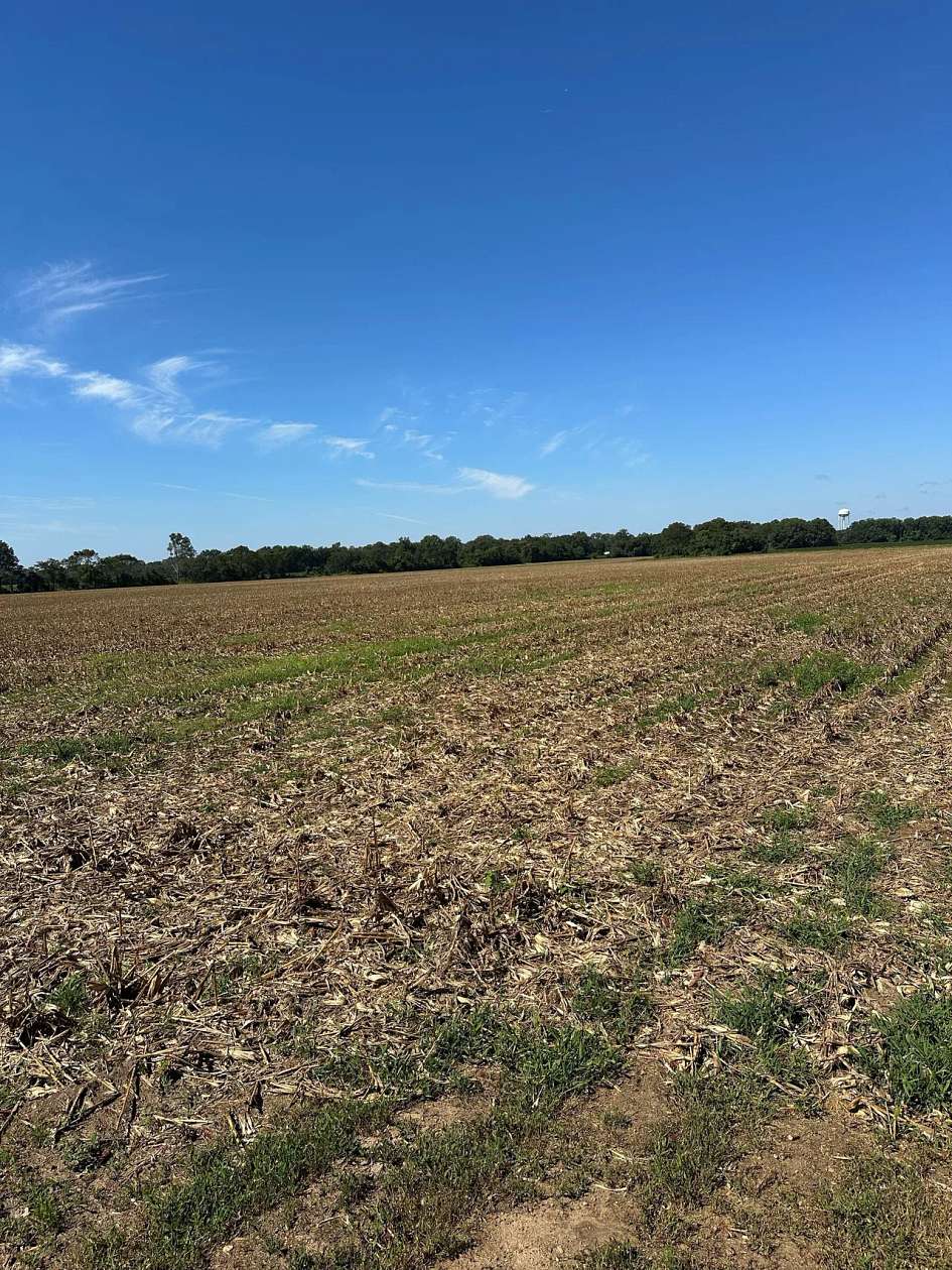 97 Acres of Land for Sale in Greenwood, Mississippi