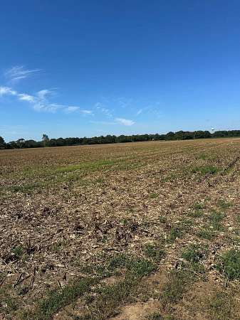 97 Acres of Land for Sale in Greenwood, Mississippi