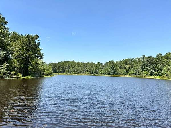 29 Acres of Land for Sale in Poplarville, Mississippi