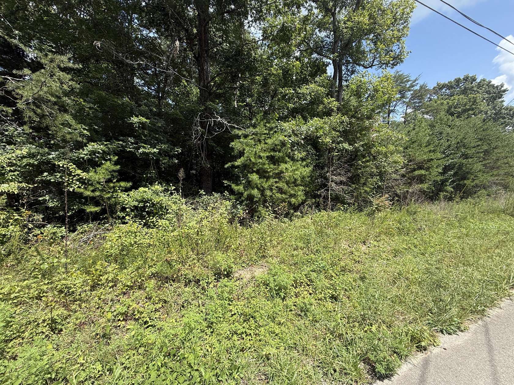 1.42 Acres of Residential Land for Sale in Altamont, Tennessee