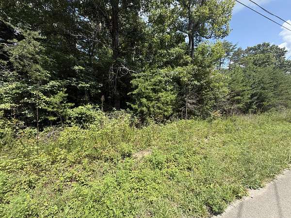 1.42 Acres of Residential Land for Sale in Altamont, Tennessee