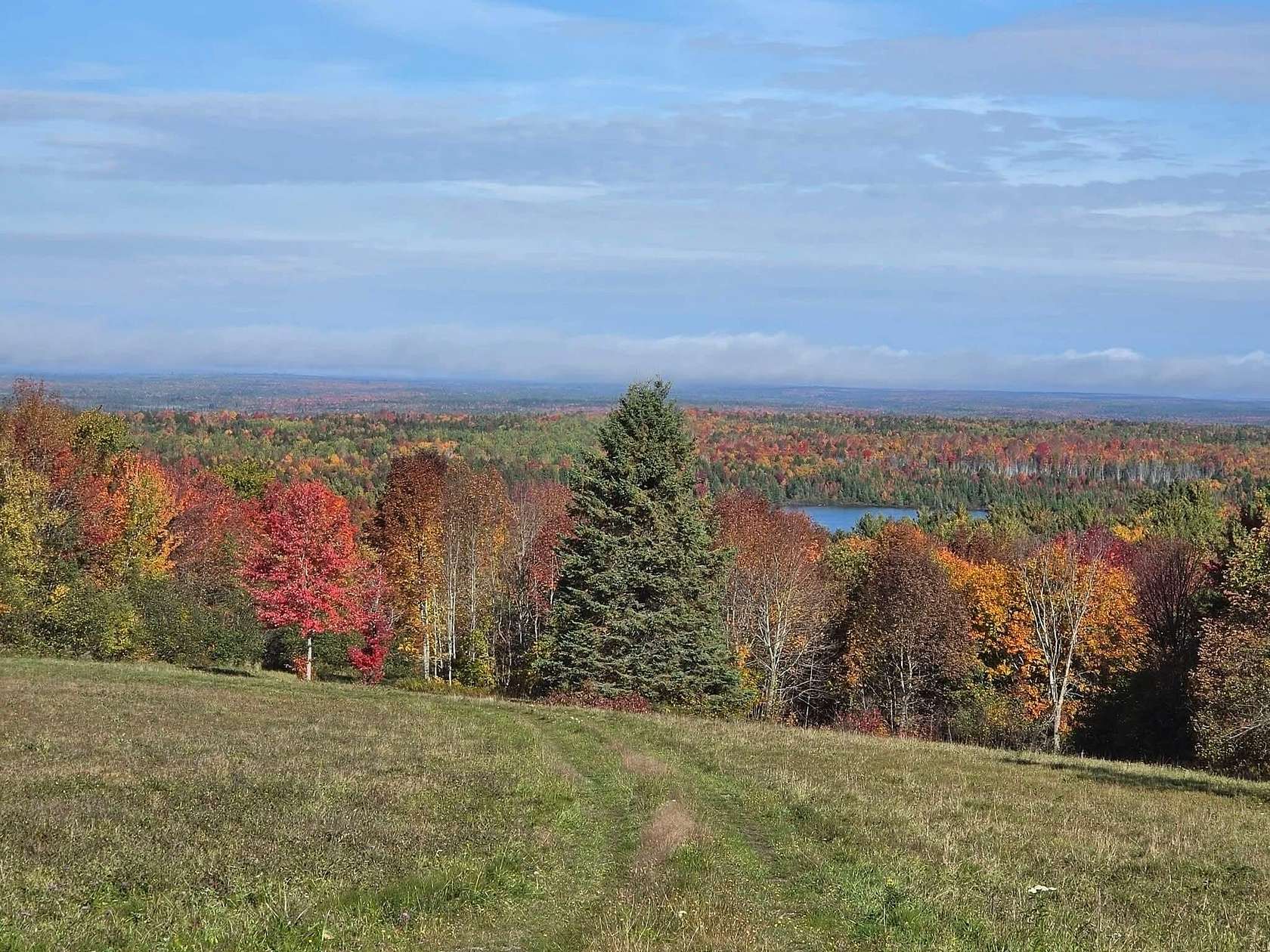 40.8 Acres of Recreational & Residential Land for Sale in Weston, Maine