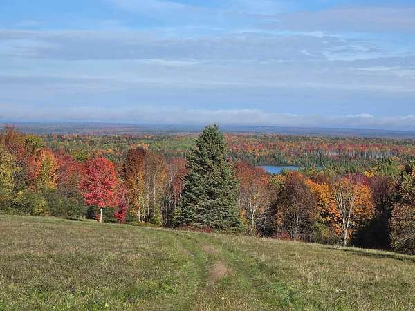 40.8 Acres of Recreational & Residential Land for Sale in Weston, Maine