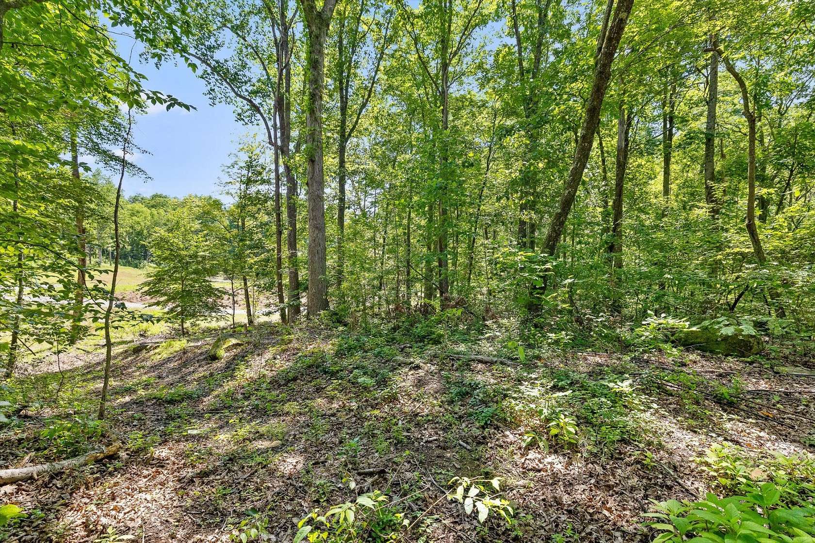 1.13 Acres of Residential Land for Sale in Lookout Mountain, Georgia