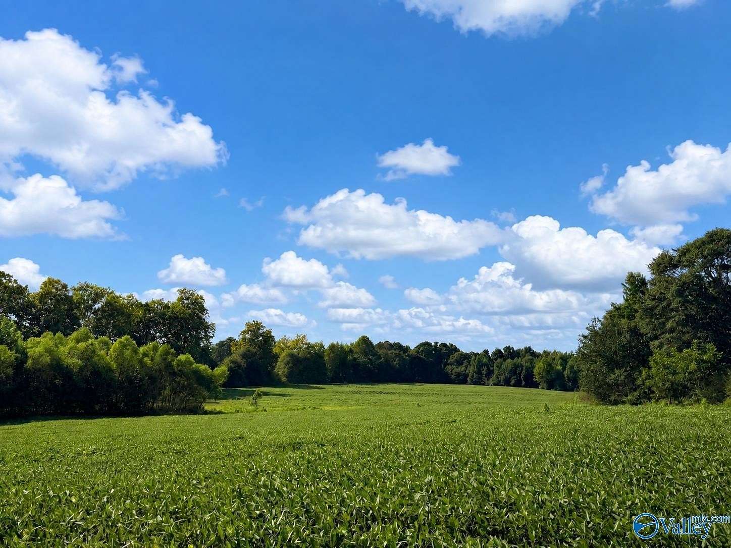 18.6 Acres of Mixed-Use Land for Sale in Boaz, Alabama