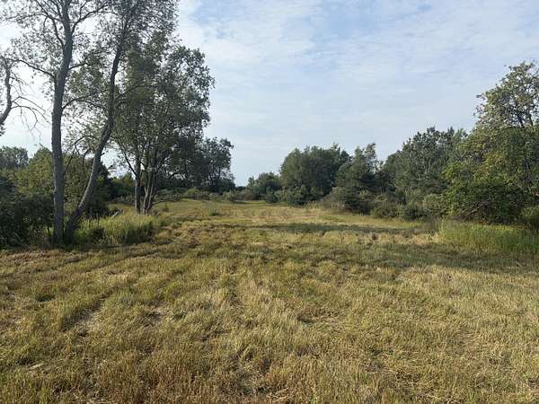 20 Acres of Recreational & Residential Land for Sale in Reed City, Michigan