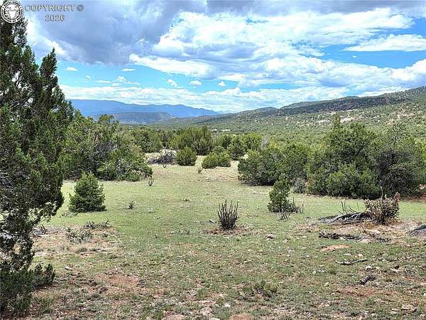 40 Acres of Land for Sale in Penrose, Colorado