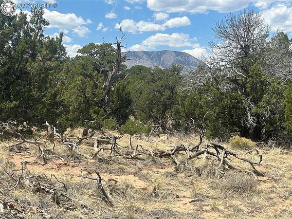 244 Acres of Recreational Land for Sale in Walsenburg, Colorado