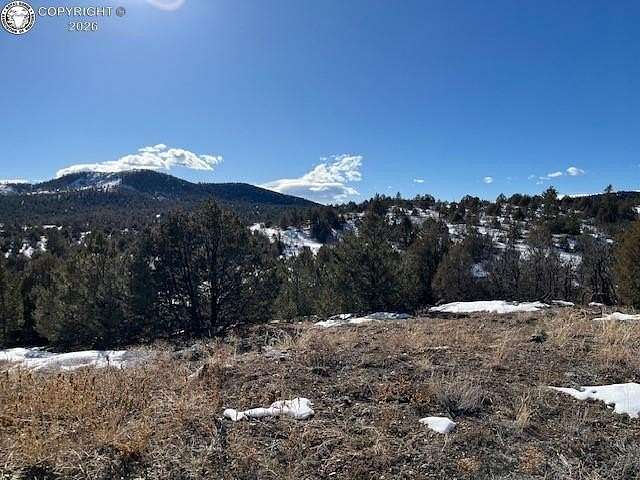 5.6 Acres of Residential Land for Sale in Cotopaxi, Colorado