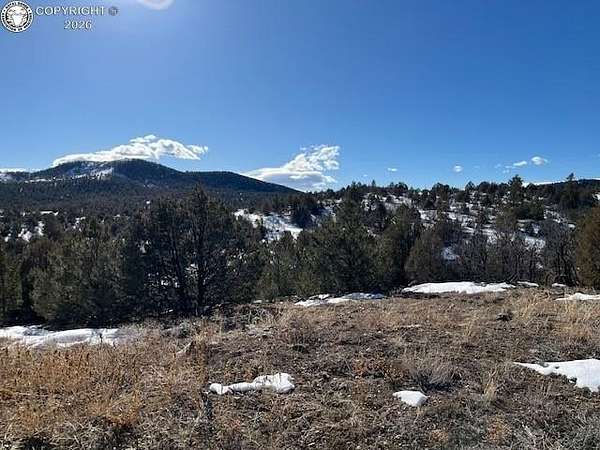 5.6 Acres of Residential Land for Sale in Cotopaxi, Colorado