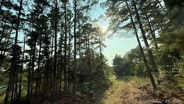 19.7 Acres of Land for Sale in Wilburton, Oklahoma