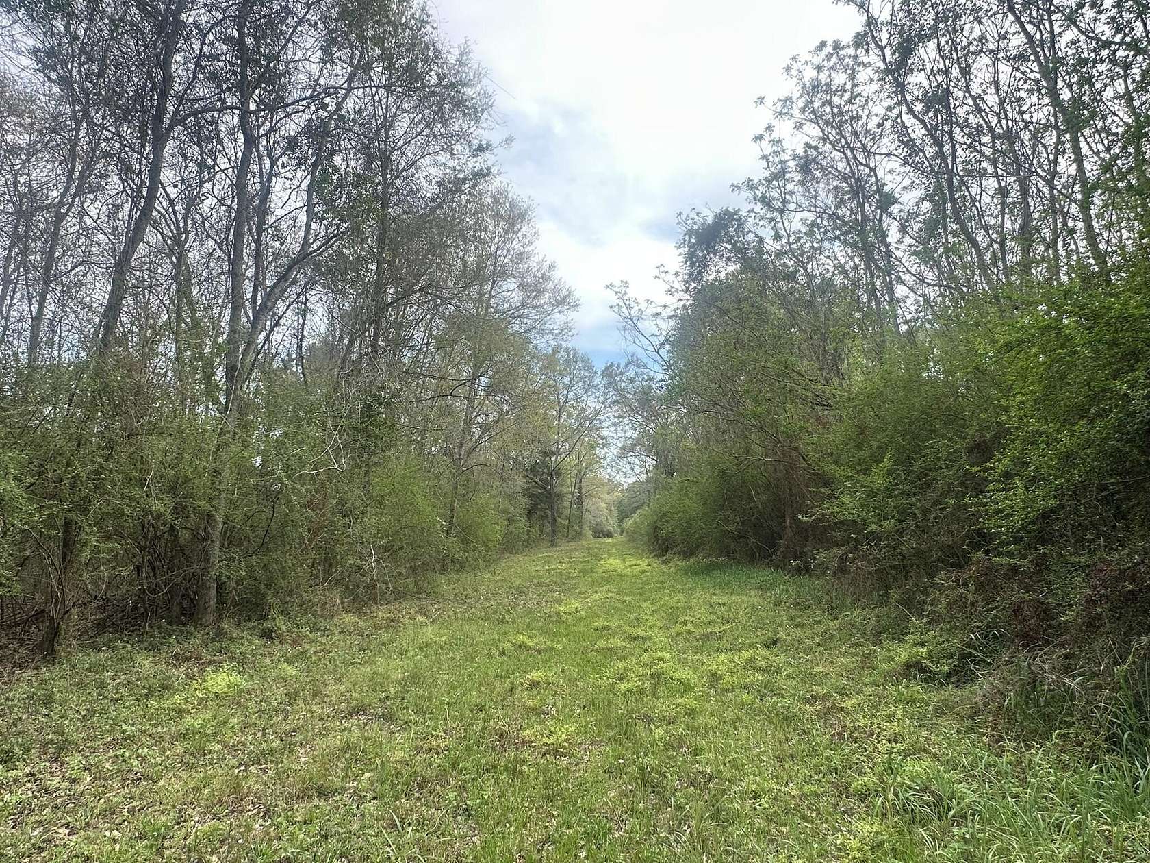10 Acres of Land for Sale in Baker, Florida