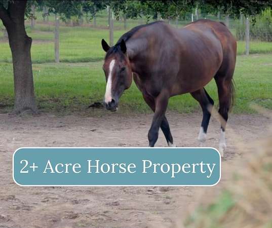 2.17 Acres of Land with Home for Sale in Ray City, Georgia