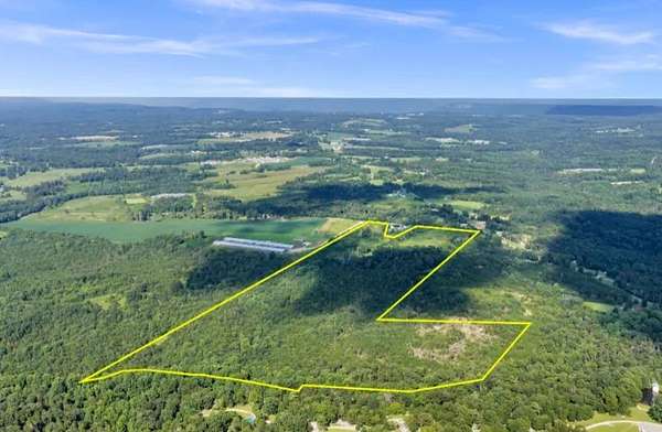 79.5 Acres of Land for Sale in Flat Rock, Alabama