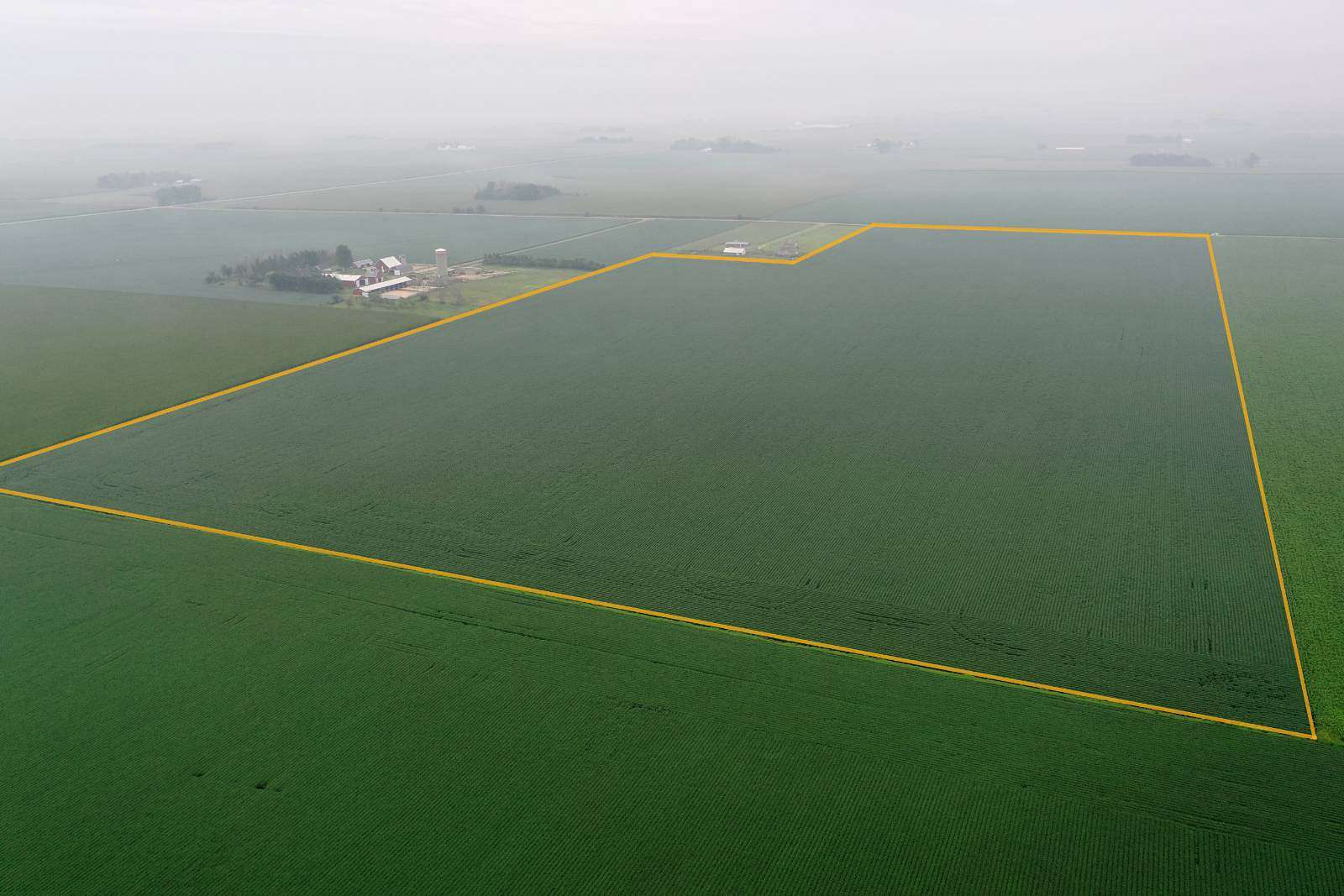 147 Acres of Agricultural Land for Auction in Granville, Iowa