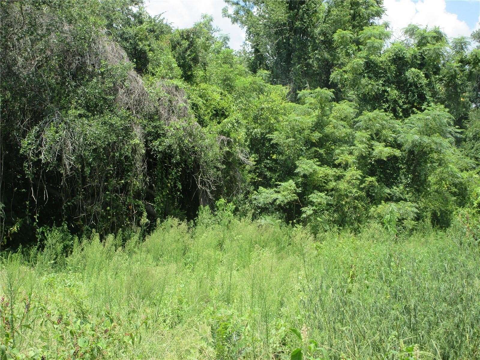 0.3 Acres of Residential Land for Sale in Silver Springs, Florida