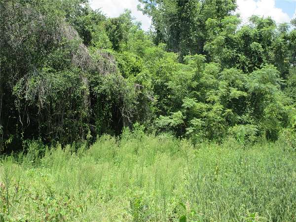 0.3 Acres of Residential Land for Sale in Silver Springs, Florida