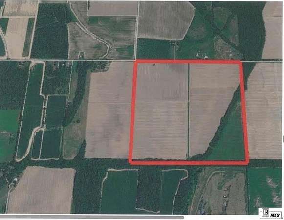 157 Acres of Land for Sale in Rayville, Louisiana