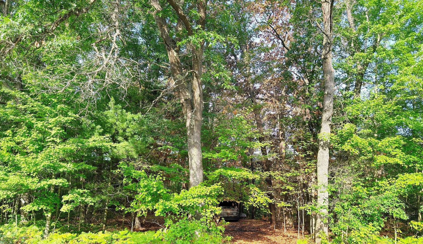 10 Acres of Recreational & Residential Land for Sale in Chase, Michigan