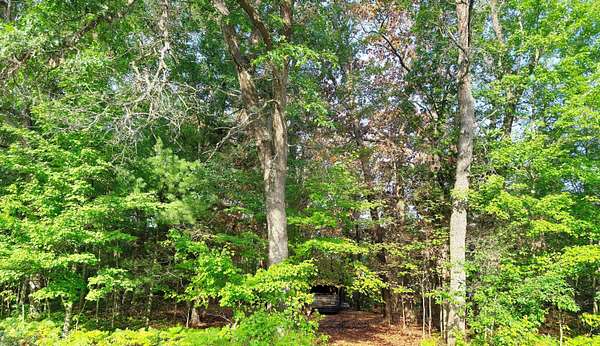 10 Acres of Recreational & Residential Land for Sale in Chase, Michigan
