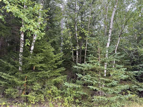 0.02 Acres of Residential Land for Sale in Eastport, Maine