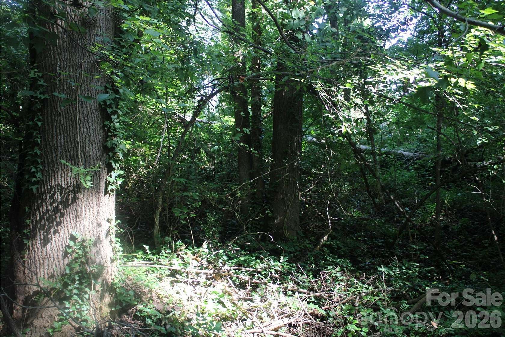 0.78 Acres of Residential Land for Sale in Gastonia, North Carolina