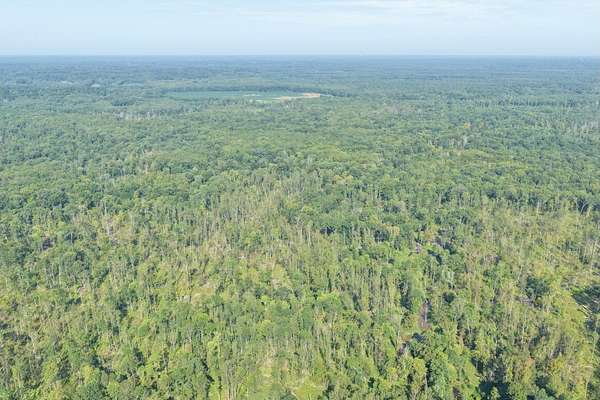 181 Acres of Recreational Land for Sale in Benton, Kentucky