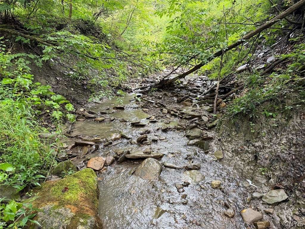 14.8 Acres of Recreational & Residential Land for Sale in Sardinia, New York