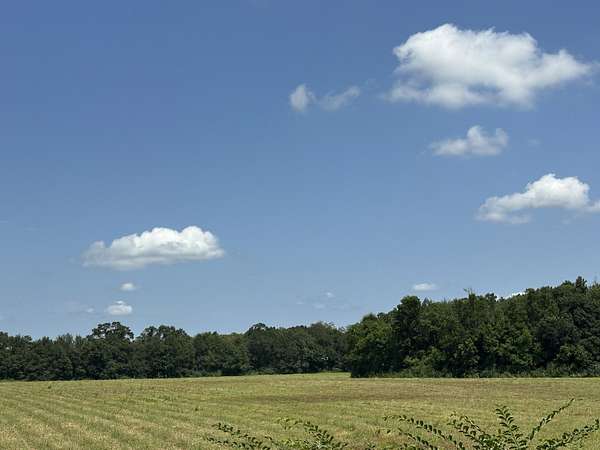 10 Acres of Land for Sale in Holt, Florida