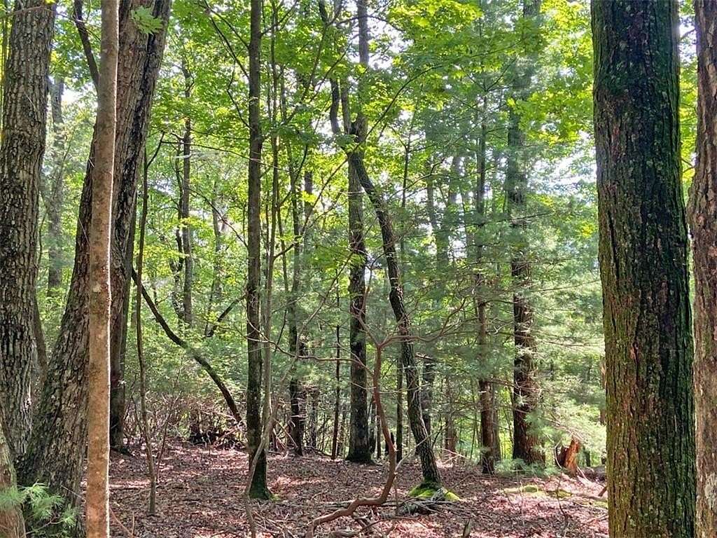 11 Acres of Land for Sale in Dahlonega, Georgia