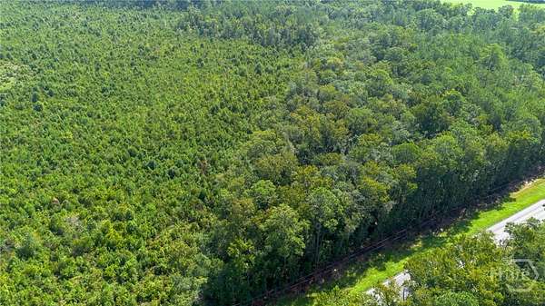 1 Acre of Land for Sale in Guyton, Georgia