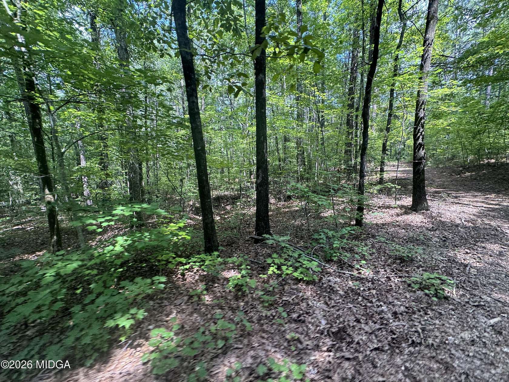 11 Acres of Land for Sale in Forsyth, Georgia