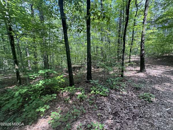 11 Acres of Land for Sale in Forsyth, Georgia
