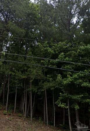 0.56 Acres of Residential Land for Sale in Trussville, Alabama