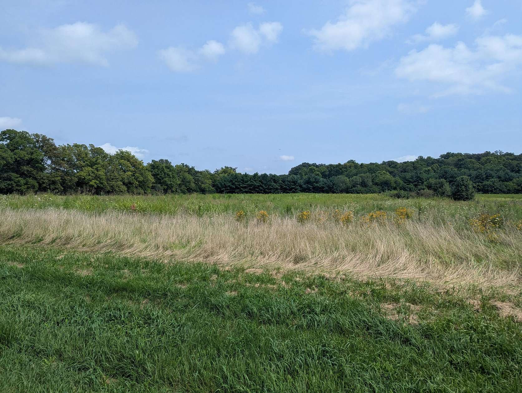 21.2 Acres of Commercial Land for Sale in Springfield, Ohio