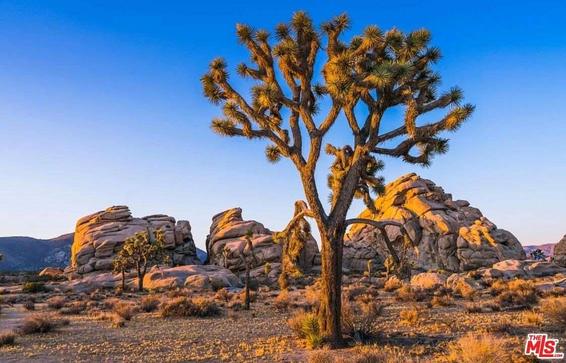 515 Acres of Land for Sale in Pioneertown, California