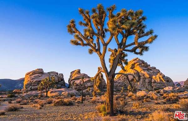515 Acres of Land for Sale in Pioneertown, California