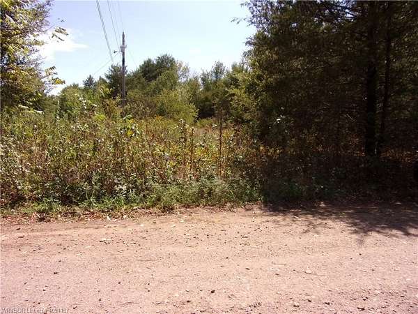 1.4 Acres of Land for Sale in Ratcliff, Arkansas