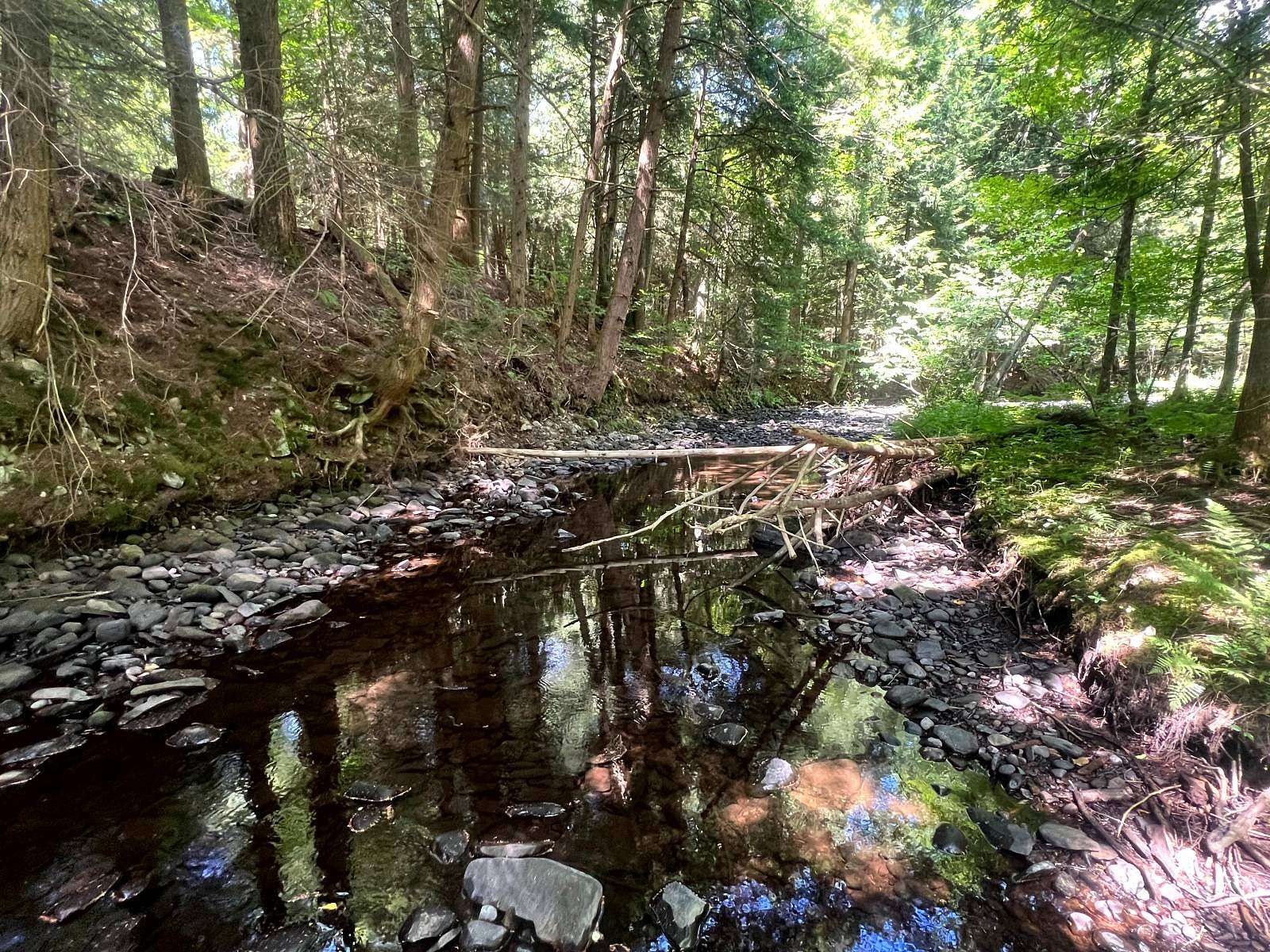 2.57 Acres of Land for Sale in Altmar, New York