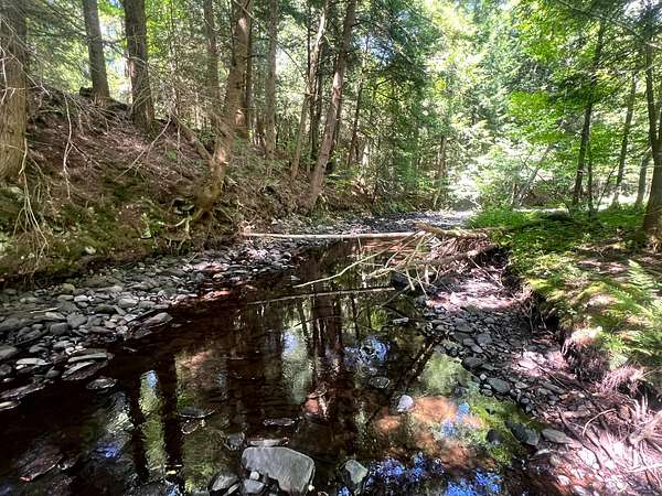 2.57 Acres of Land for Sale in Altmar, New York