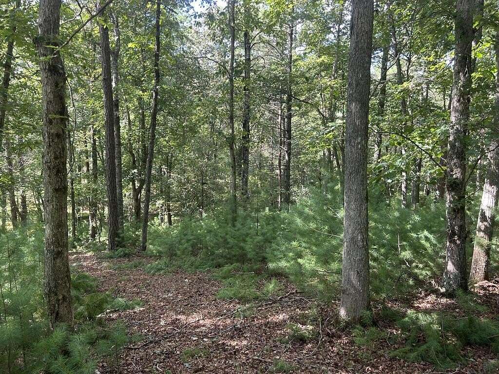 0.97 Acres of Land for Sale in Morganton, Georgia