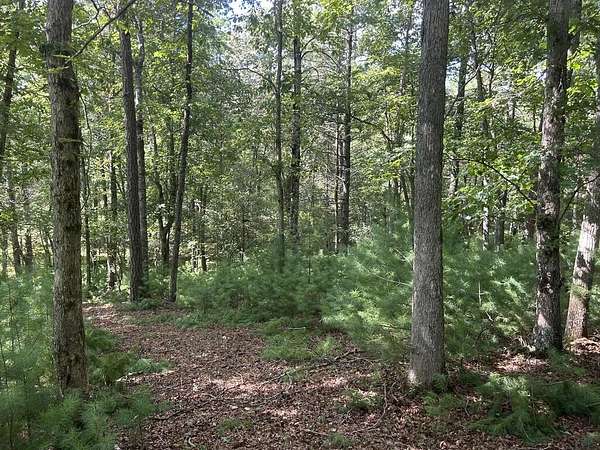 0.97 Acres of Land for Sale in Morganton, Georgia
