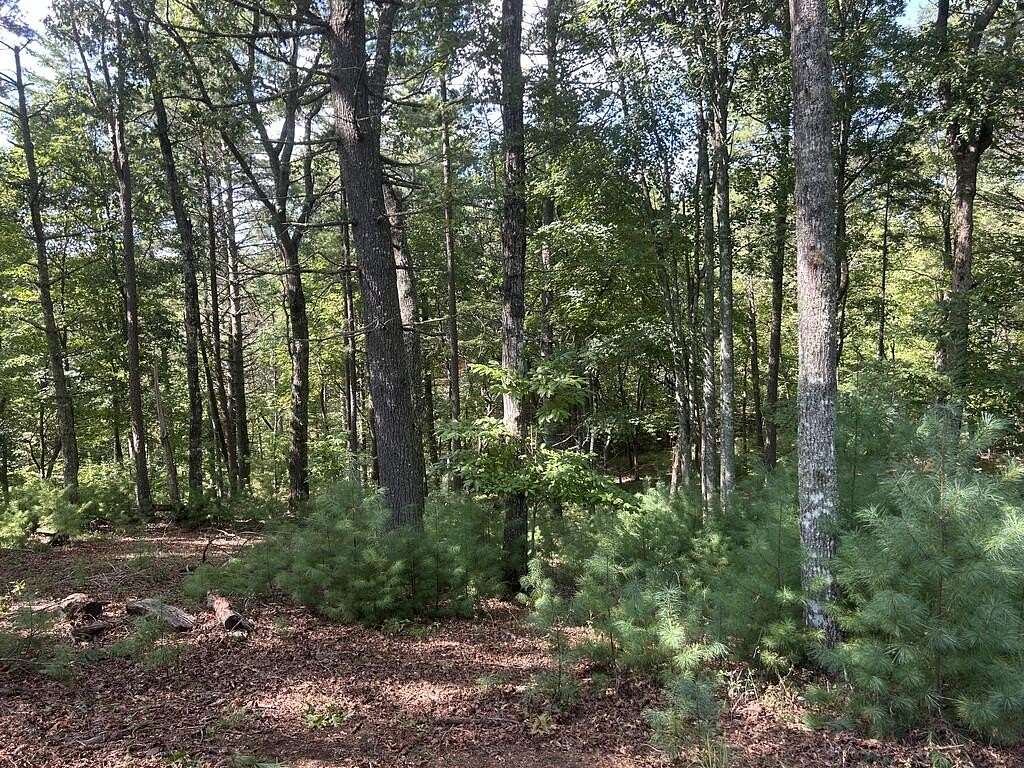 0.9 Acres of Land for Sale in Morganton, Georgia