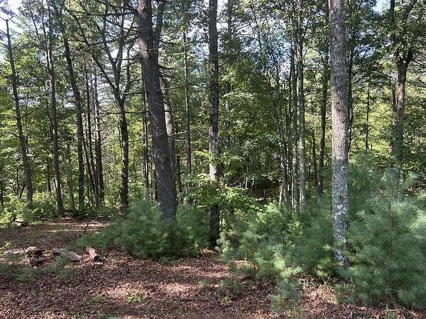 0.9 Acres of Land for Sale in Morganton, Georgia