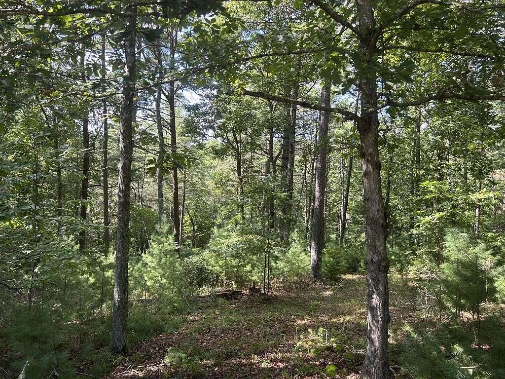 0.94 Acres of Land for Sale in Morganton, Georgia