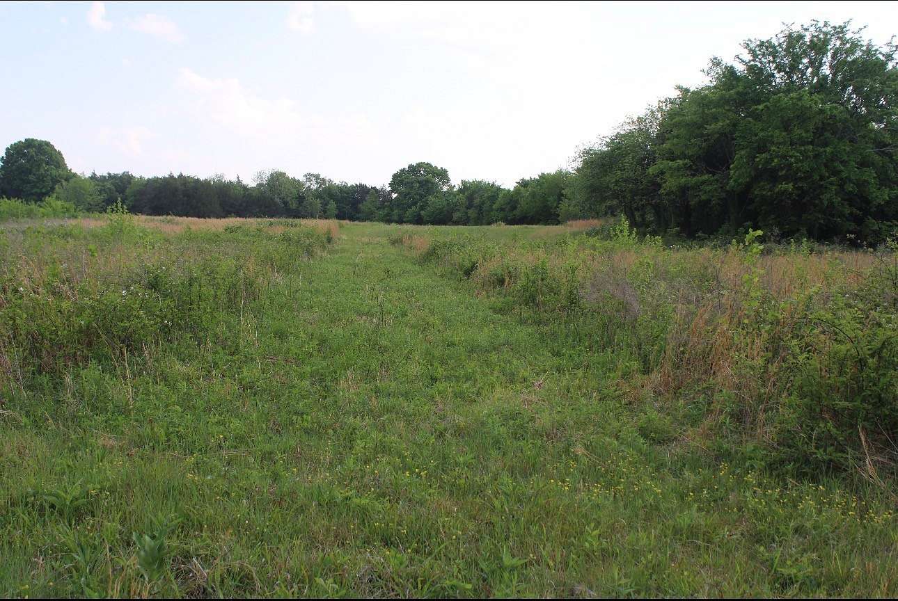 13.2 Acres of Land for Sale in Bell Buckle, Tennessee