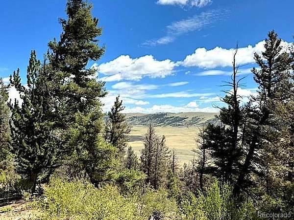 2 Acres of Residential Land for Sale in Fairplay, Colorado