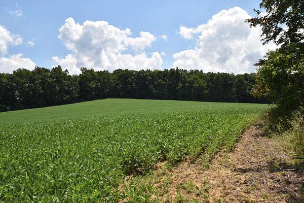 85 Acres of Recreational & Residential Land for Sale in Wallingford, Kentucky