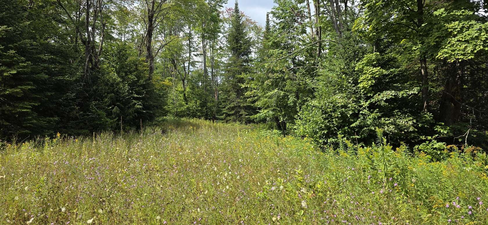 40 Acres of Recreational Land for Sale in Rudyard, Michigan