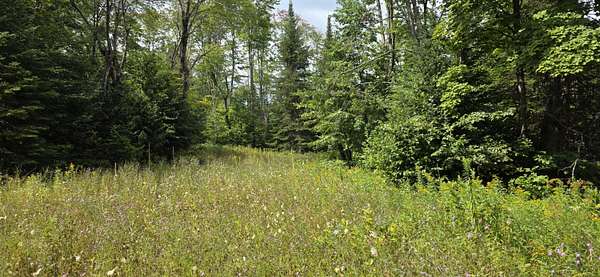 40 Acres of Recreational Land for Sale in Rudyard, Michigan